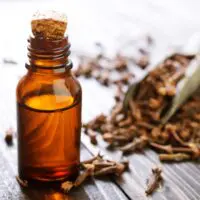 Clove Oil scent to keep mice away