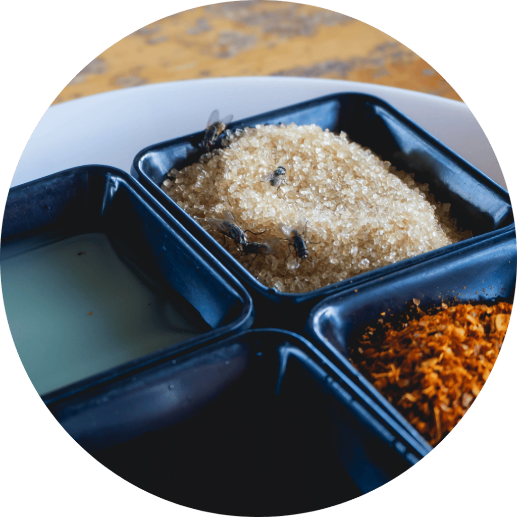 Solution To Kill Fruit Flies - Instagram - Ways To Keep Fruit Flies Away