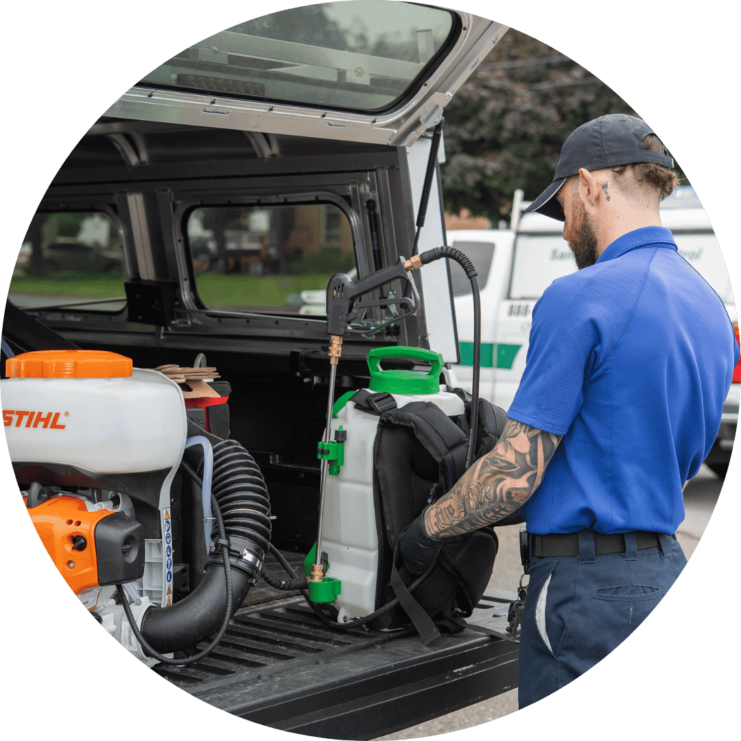 10 Pest control for hospitals