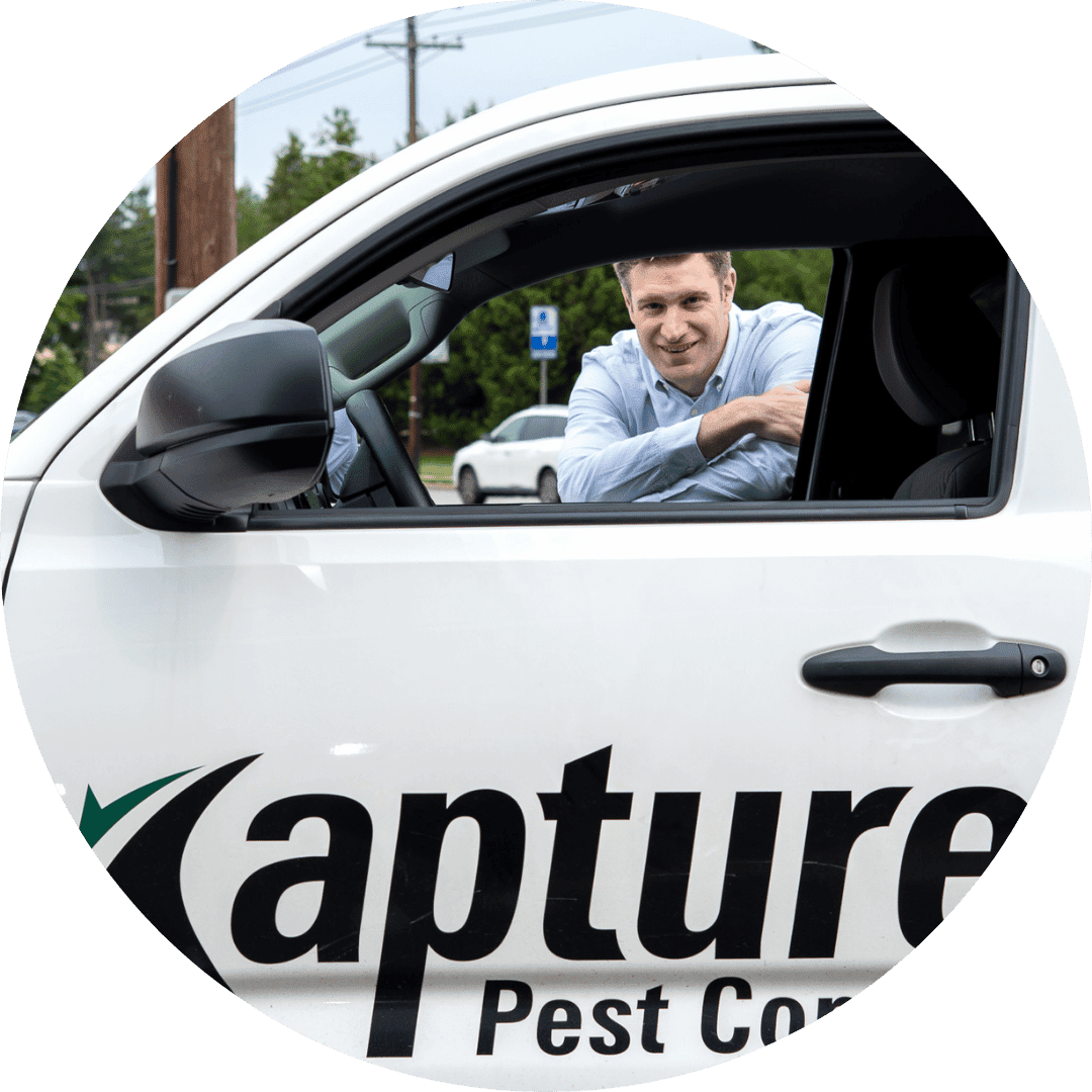 Pest Control for Warehouses & Manufacturing