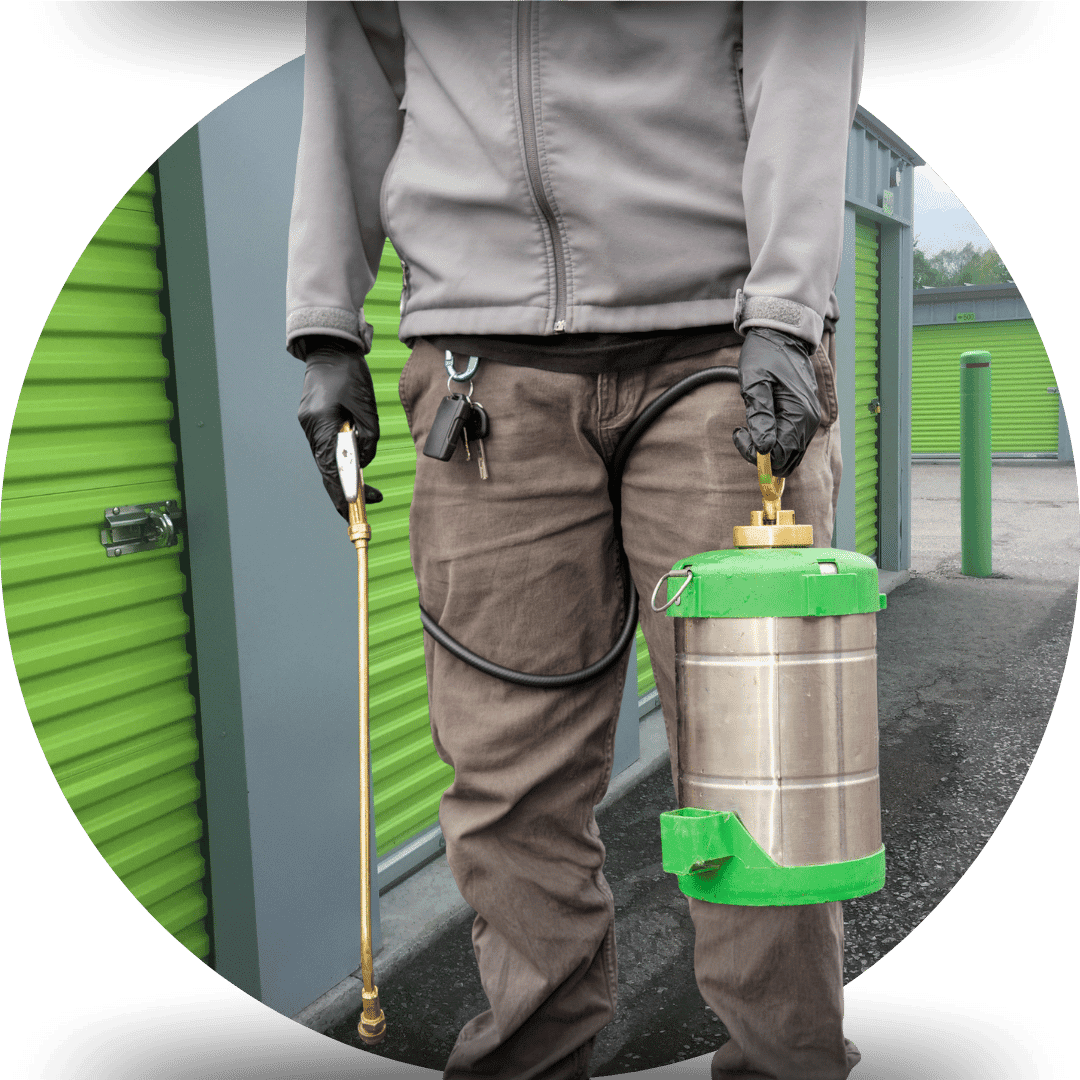 16 Pest control for storage units