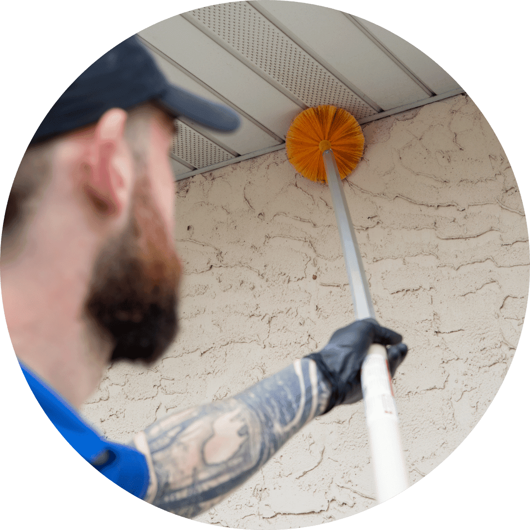 8 Pest Control for Cold Storage Facilities