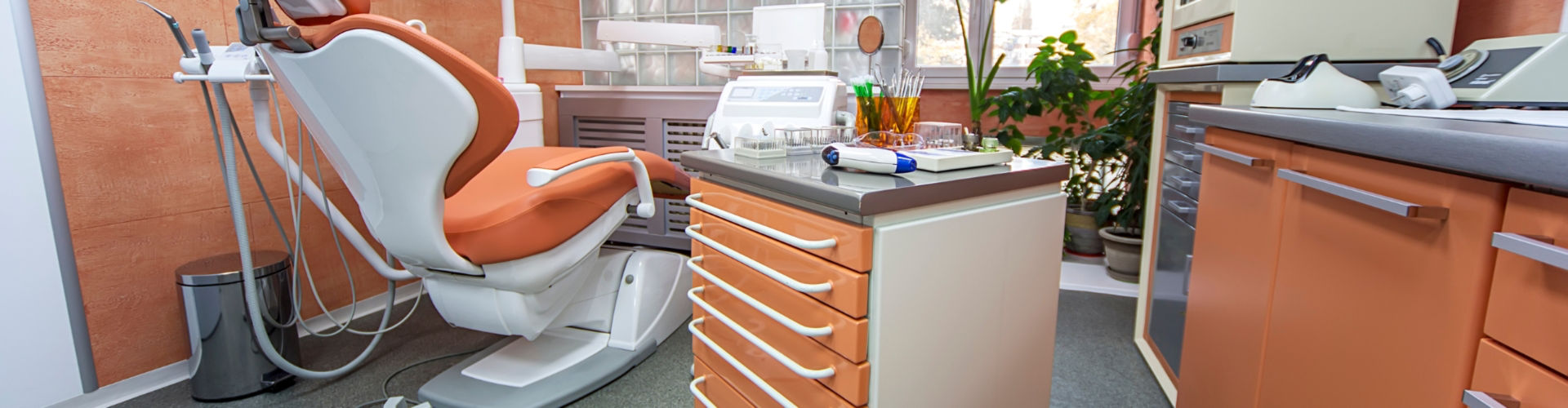 2 copy Pest control for dental offices