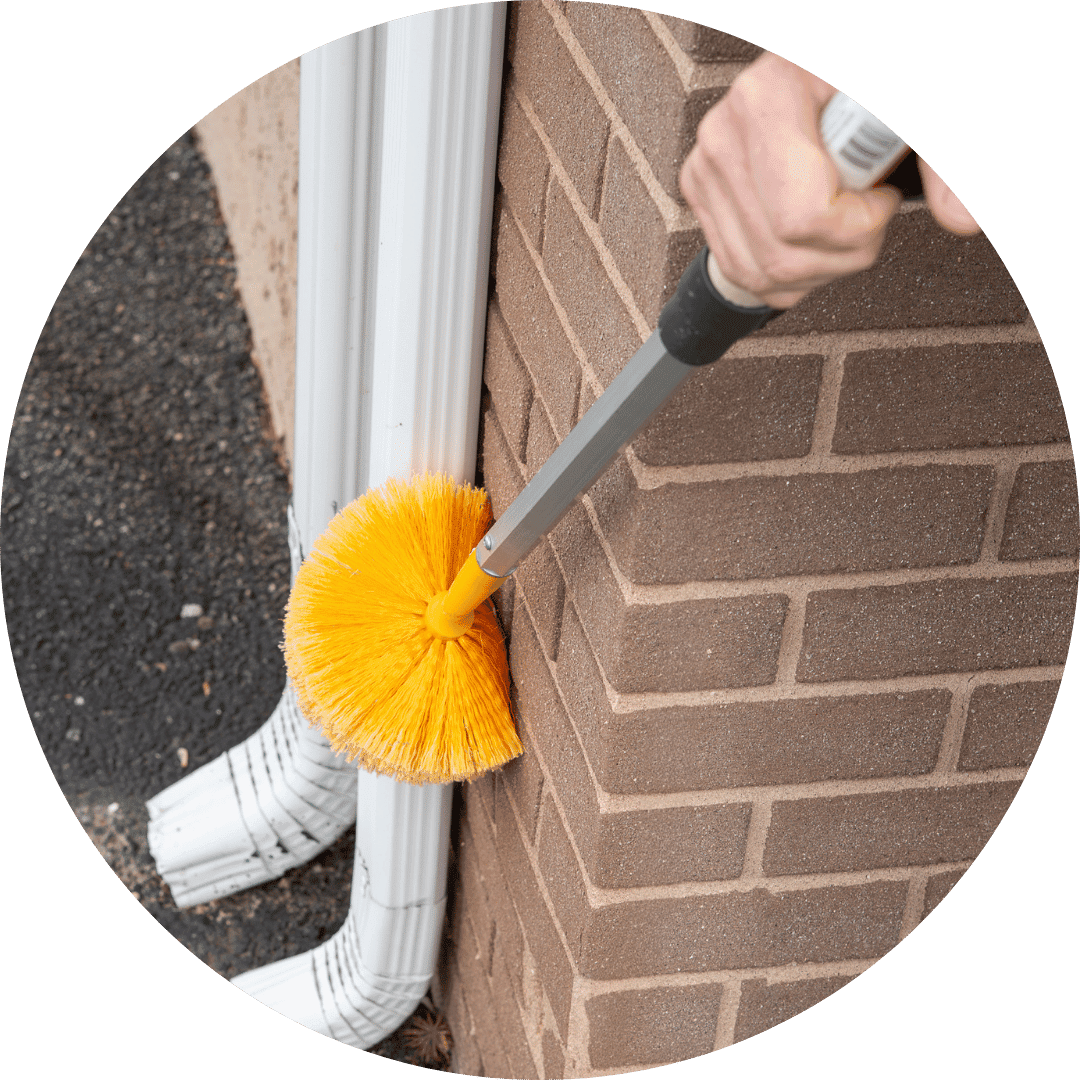 pest control in religious institutions