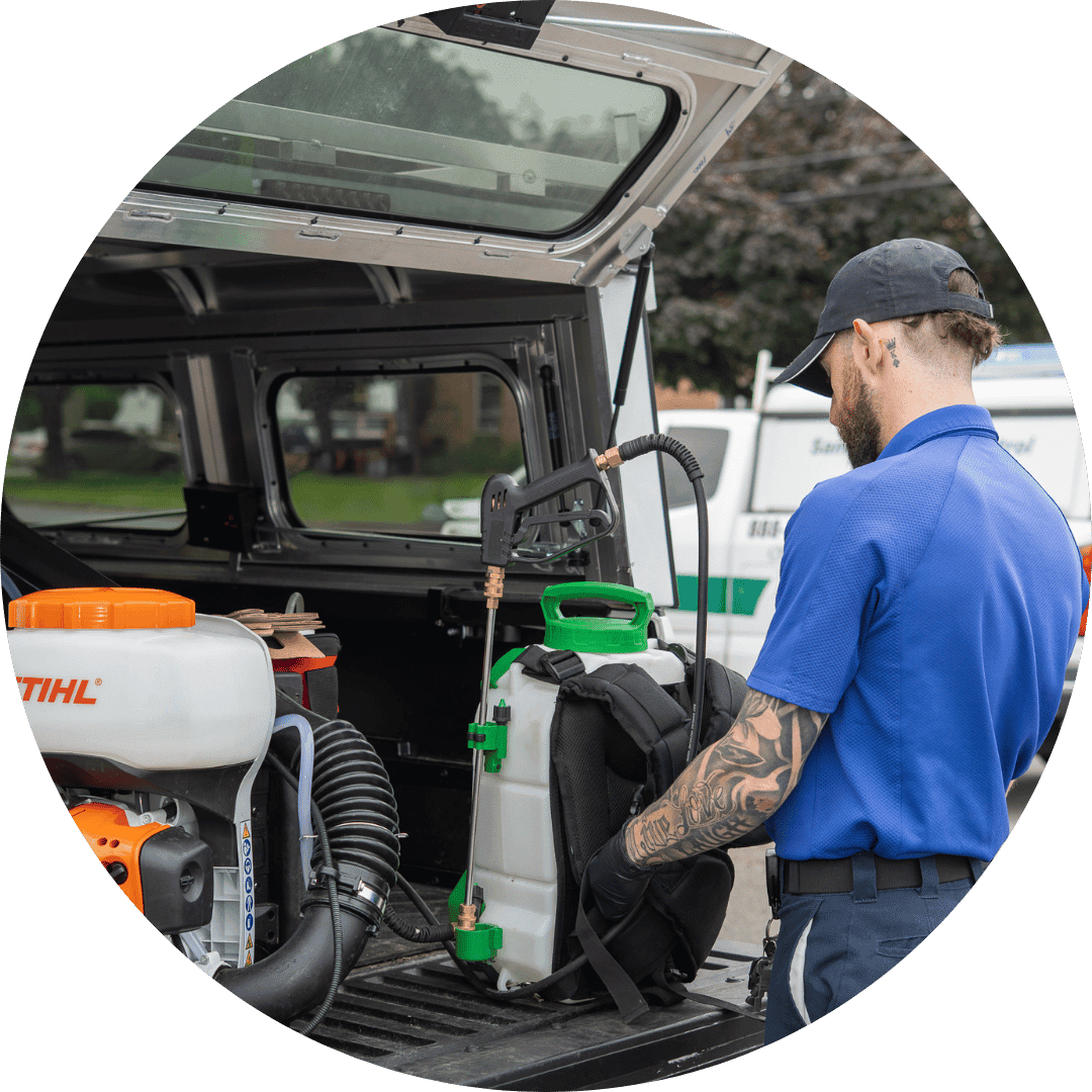 Pest control for wedding venues