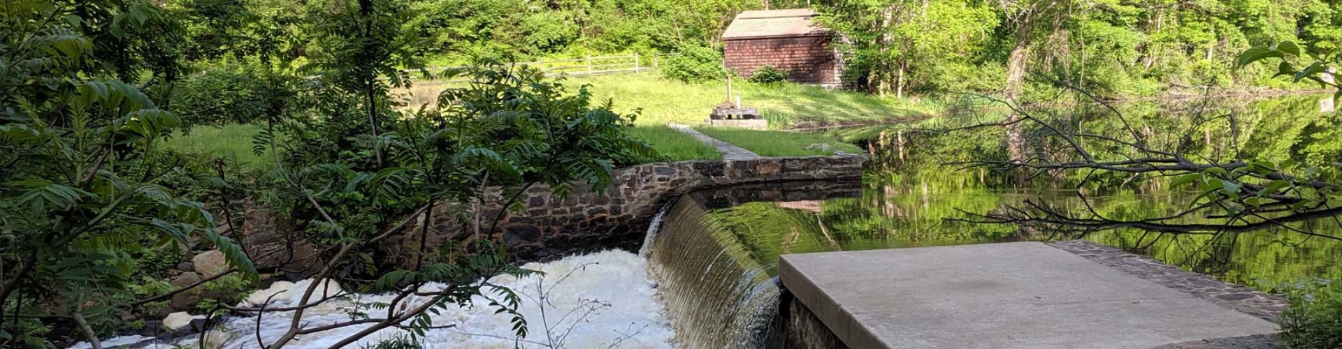 chester Chester Township