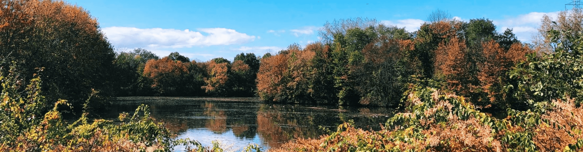 hanover Banner Hanover