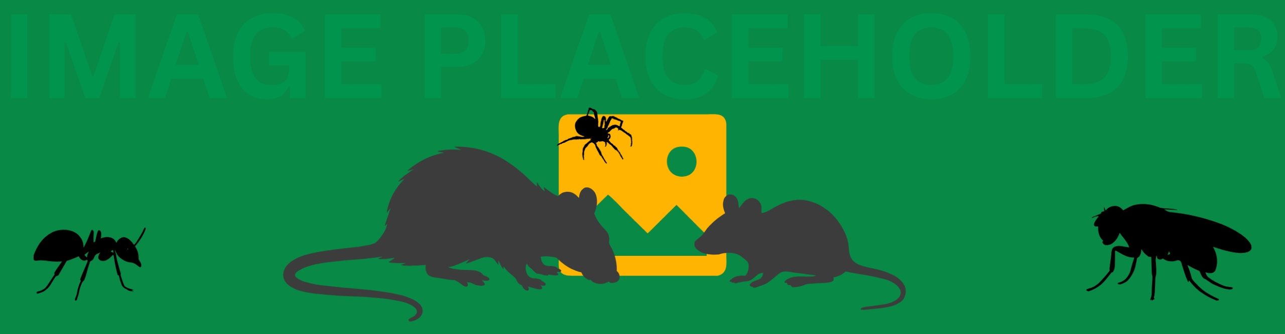 placeholder banner
