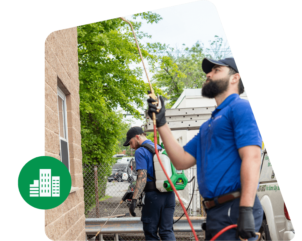 Commercial Services Commercial Services