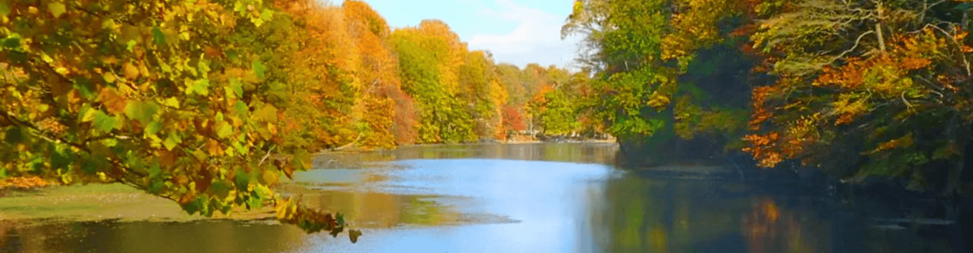 Mountainside Banner Mountainside