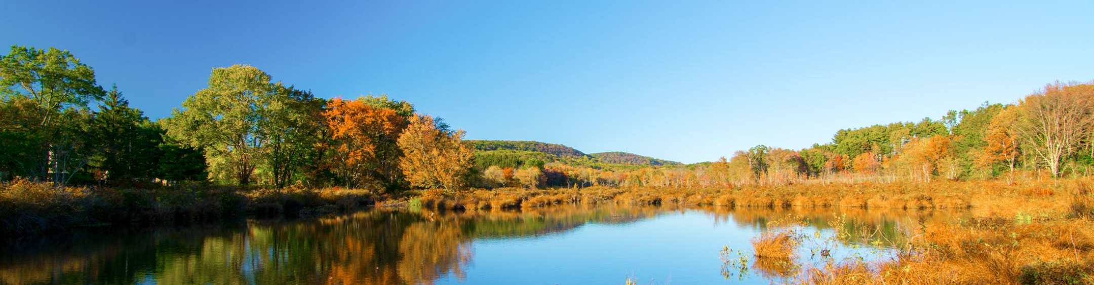 Rockaway Banner (1) Rockaway