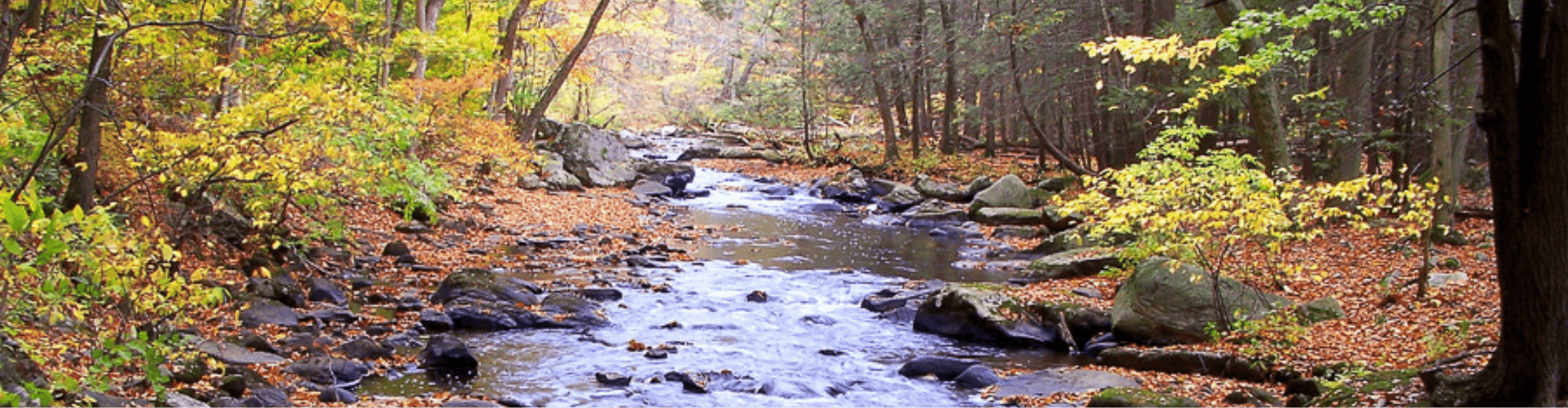 Washington Township Banner Washington Township
