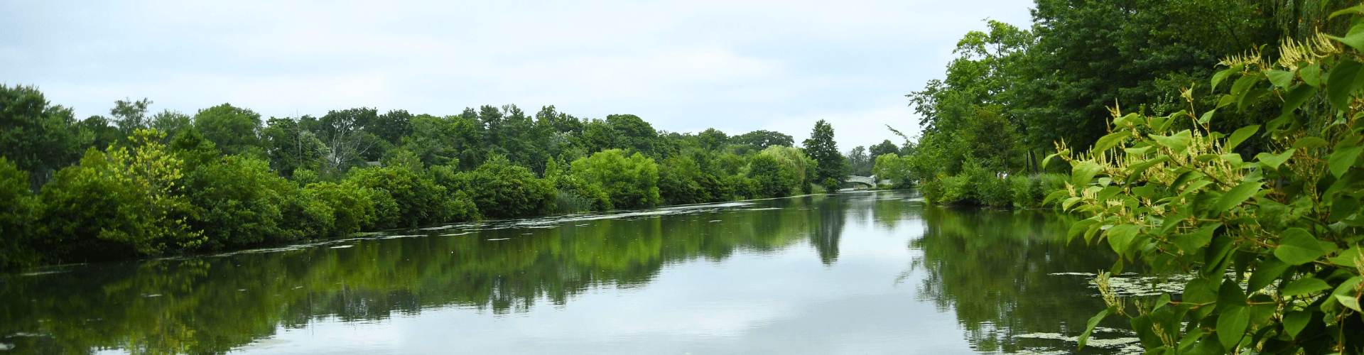 Winfield Banner (1) (1)