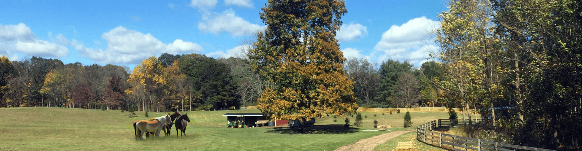 Saddle River banner Saddle River