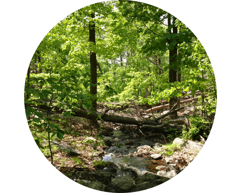 Upper Saddle River Circle Upper Saddle River
