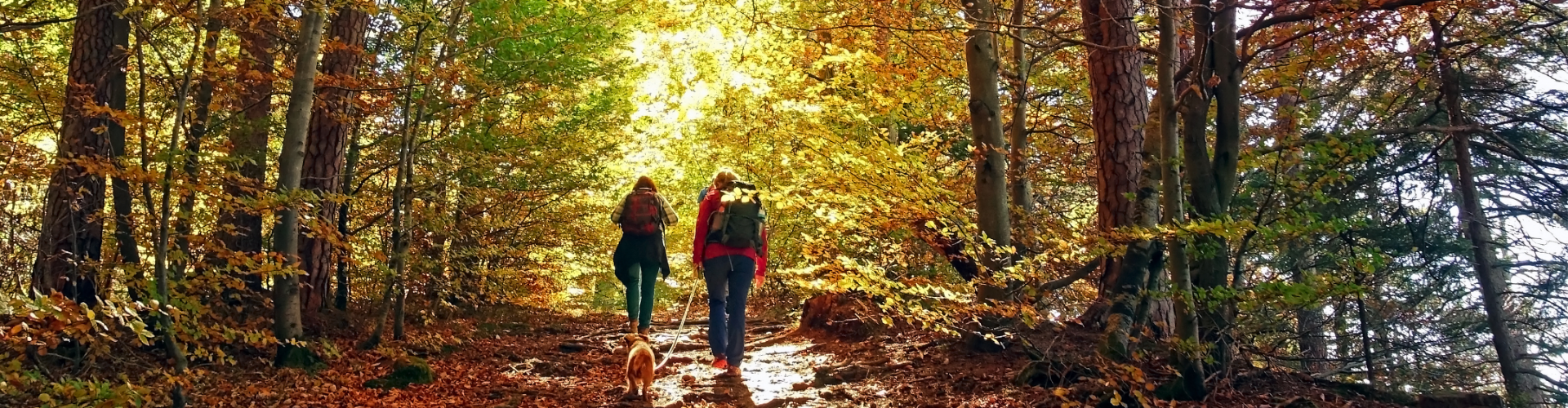 Cedar Grove Banner (1) two people hiking
