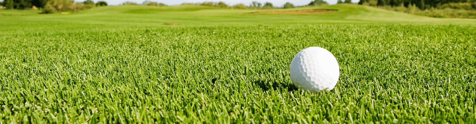 Essex Fells Banner golf ball on golf course