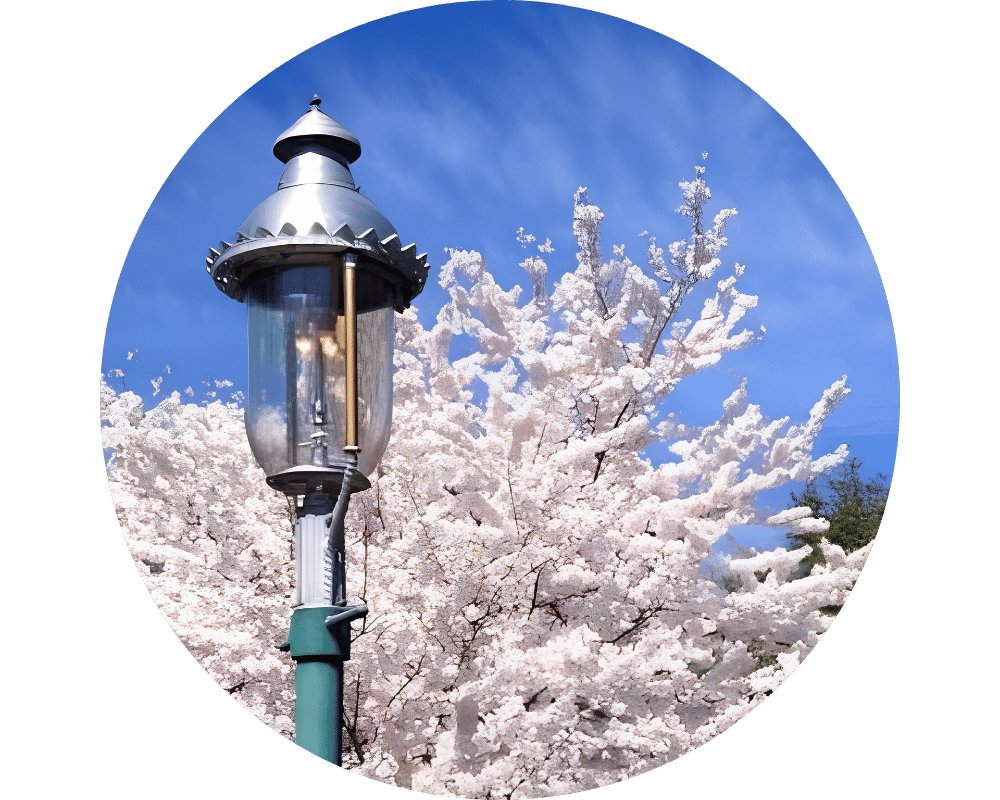 Glen Ridge gas lamp with flowering tree