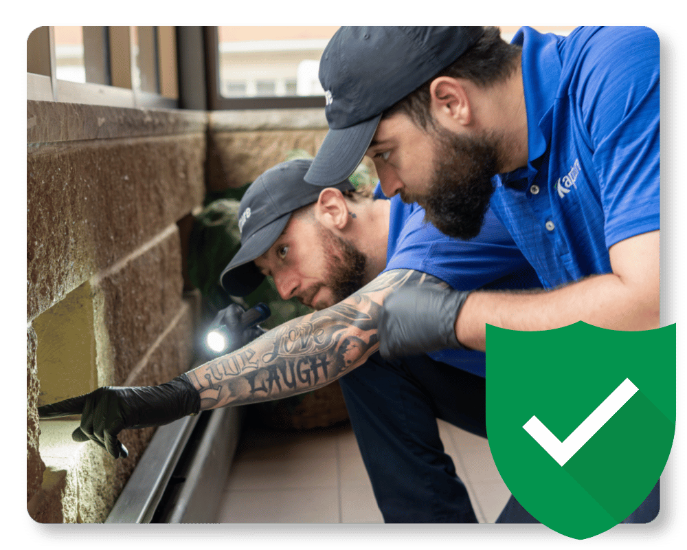 Millipede vs Centipede Guarantee pest control team in New Jersey
