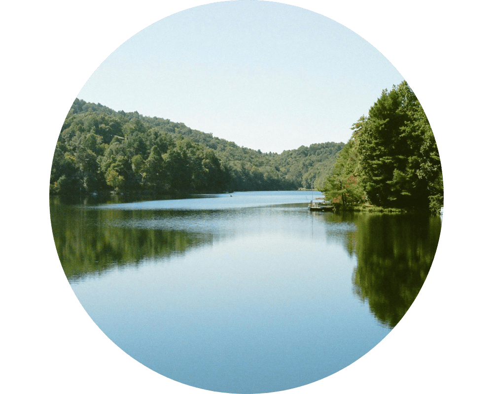 Lake surrounded by trees