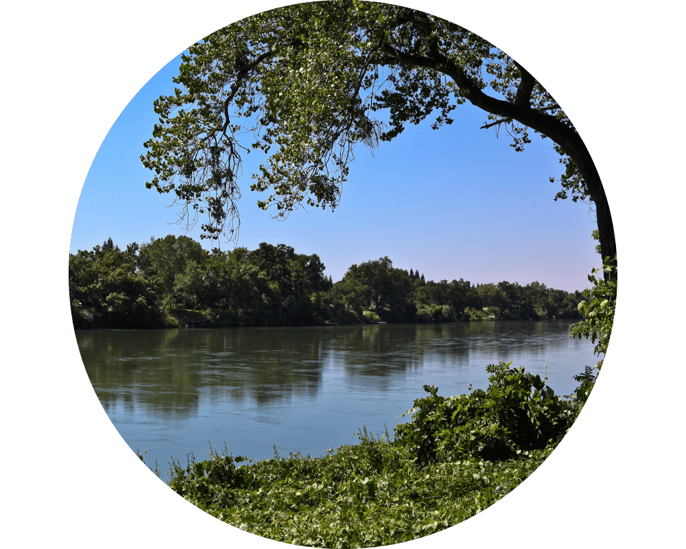 Passaic Circle river with tree covered bank