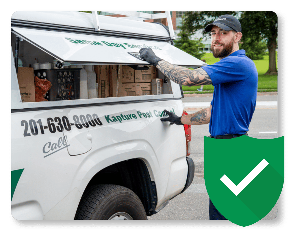 What Do Fleas Look Like Guarantee pest control technician in New Jersey