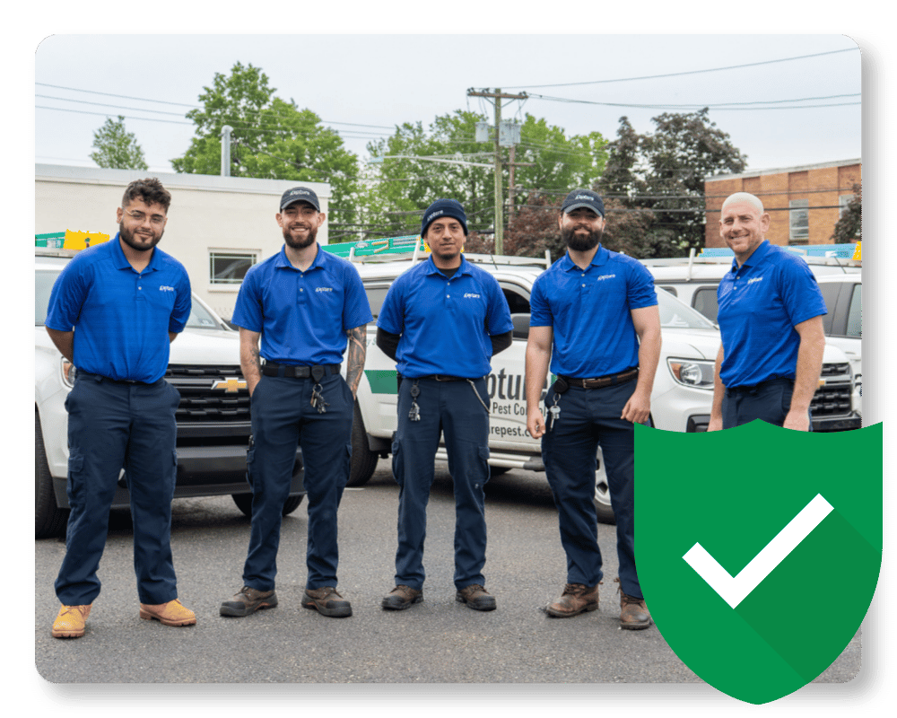 Best Mouse Bait Guarantee Pest control team in NJ
