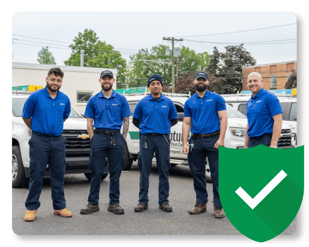Do Carpenter Ants Bite Guarantee carpenter ant control team in New Jersey