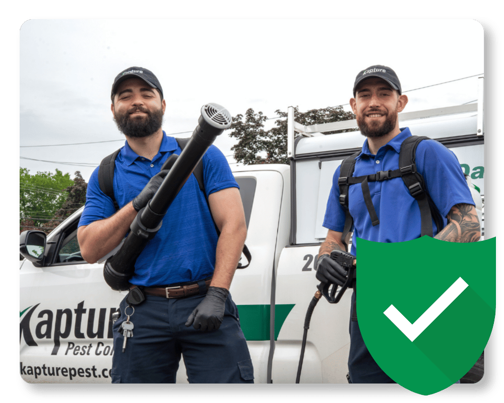 Mouse Exterminator Guarantee Kapture mouse exterminators