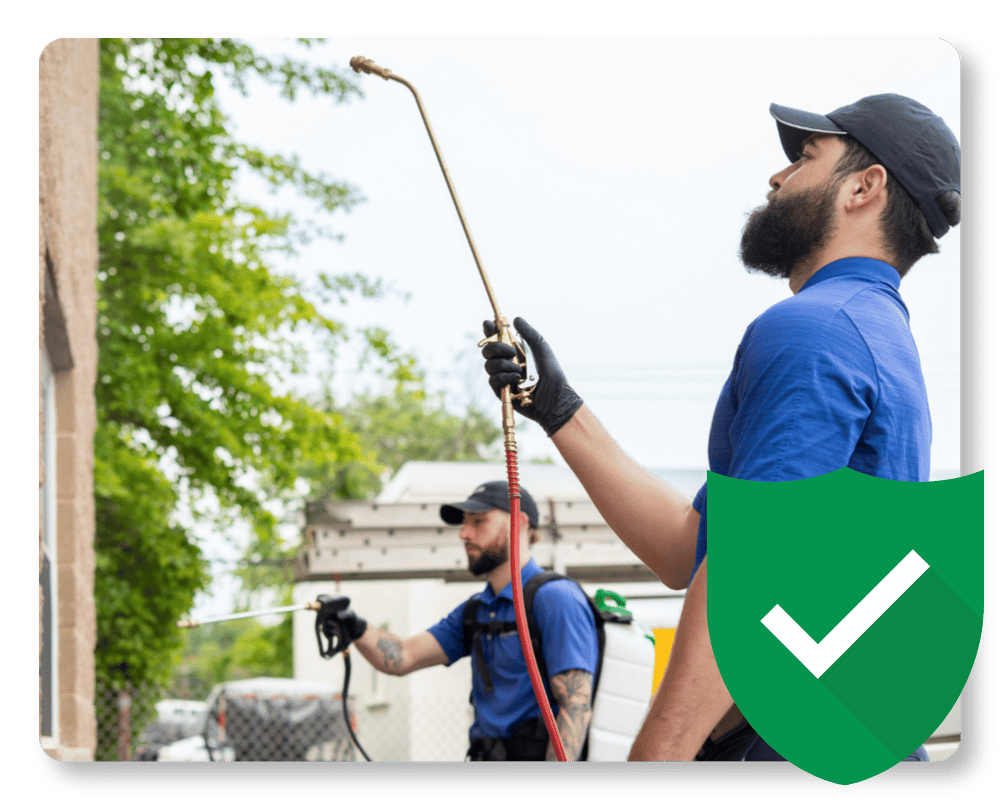 Mouse Lifespan Guarantee Pest control team working in NJ