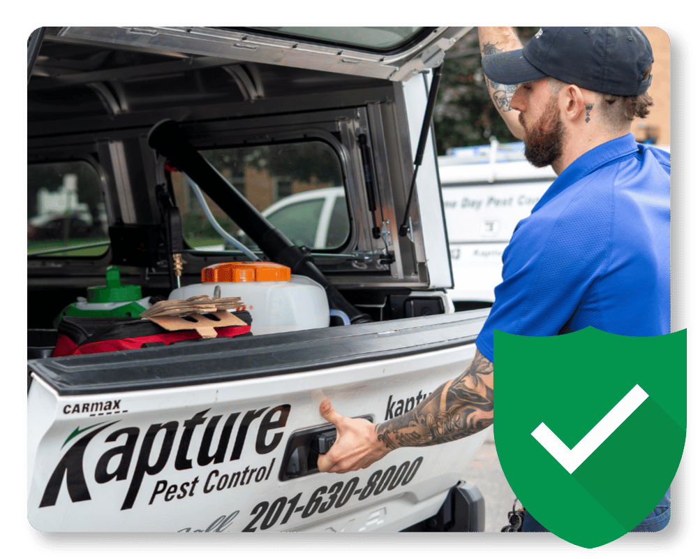 New Jersey Bed bugs Guarantee NJ pest control company