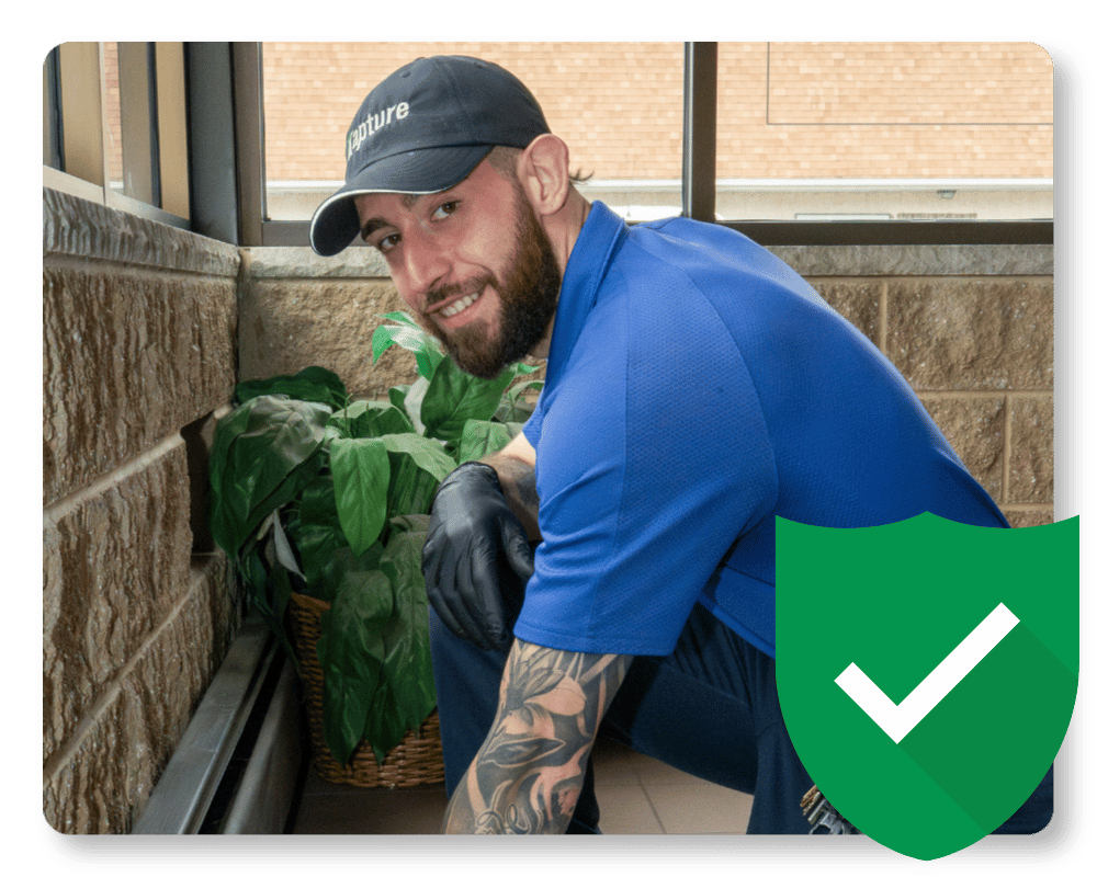 What Are Pavement Ants Guarantee pest control tech in NJ home