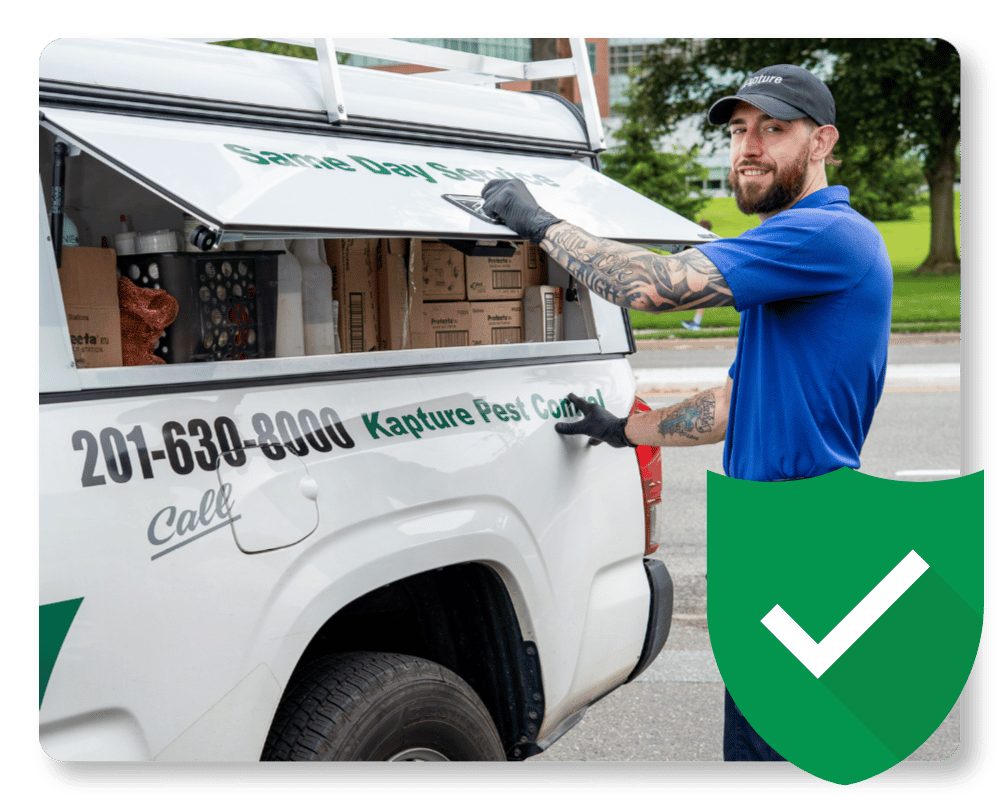 What Does a Dead Mouse Smell Like Guarantee Pest control team in NJ