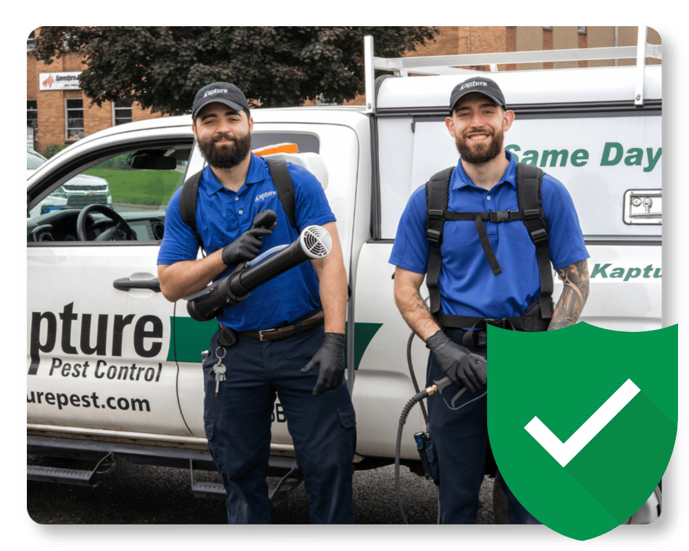 Are Wolf Spiders Dangerous Guarantee wolf spider control team in New Jersey
