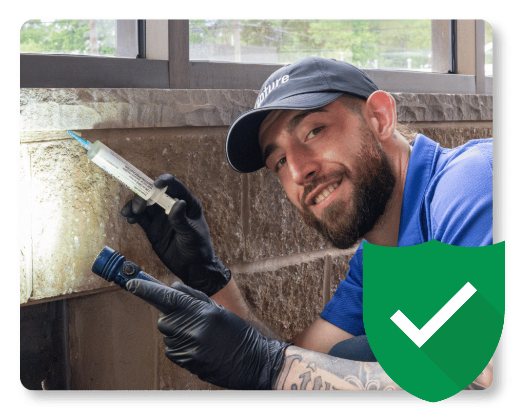 How Many Ants Are in the World Guarantee pest control tech in New Jersey