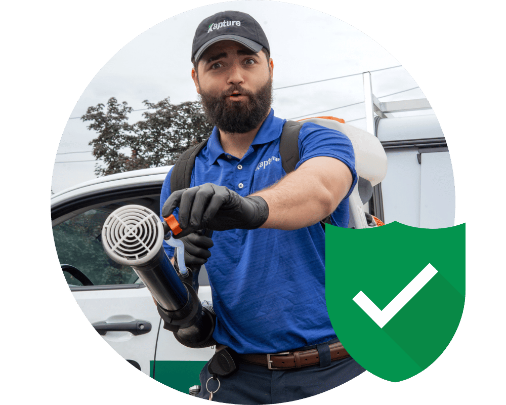 Humane Pest Control (7) wolf spider control team in New Jersey