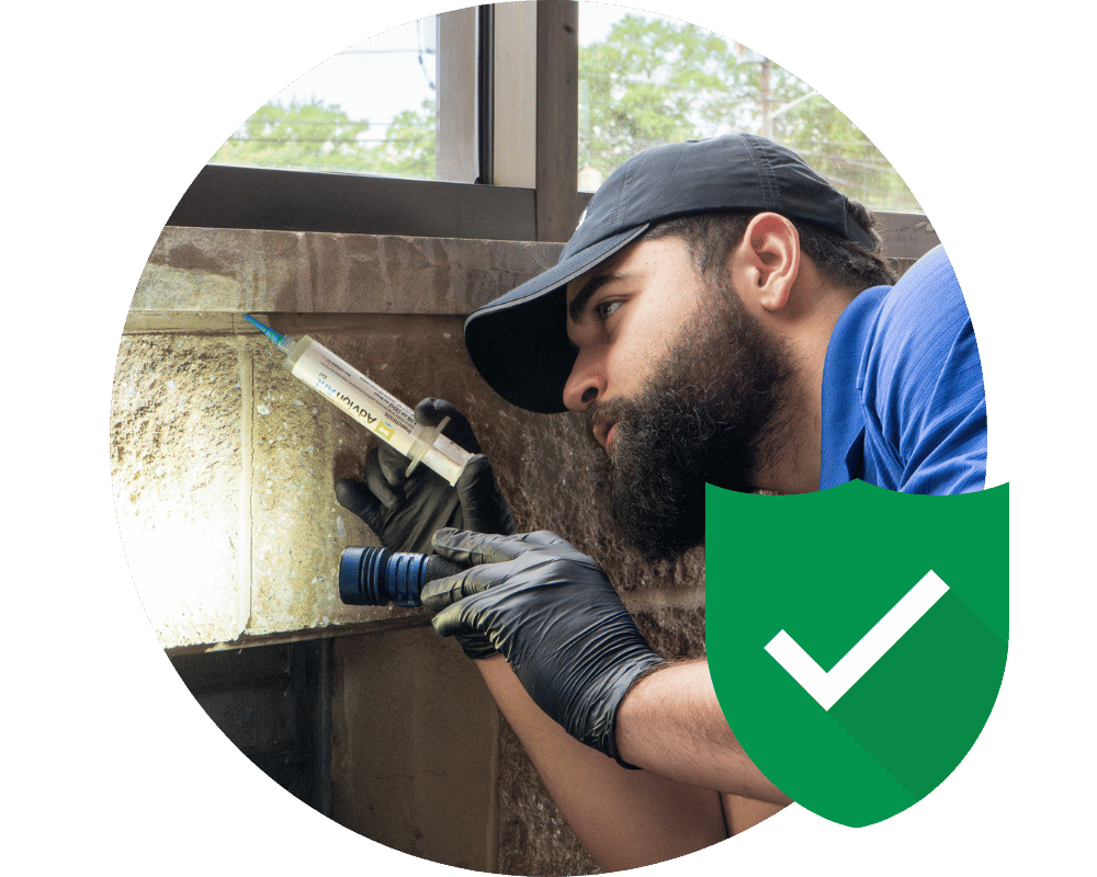 Snake Repellent wolf spider control team in New Jersey