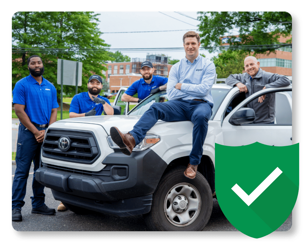 What Is a June Bug Guarantee Beetle control in New Jersey